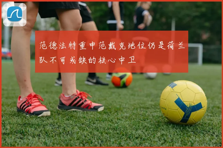 范德法特重申范戴克地位仍是荷兰队不可或缺的核心中卫